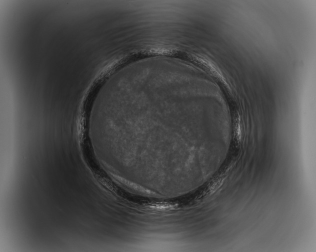 X0000092270736200710121340