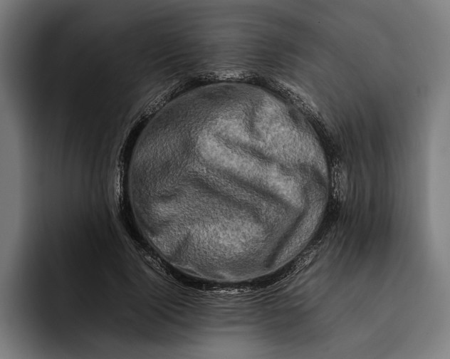 X0000092270740200710121340