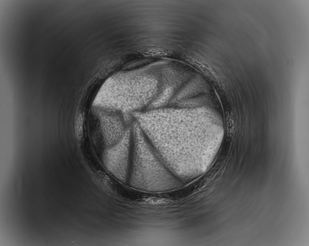 X0000092270742200710121340