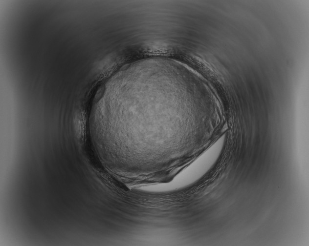 X0000092270744200710121340