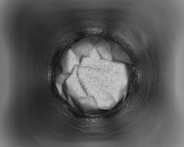 X0000092270745200710121340