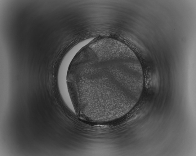 X0000092270748200710121340
