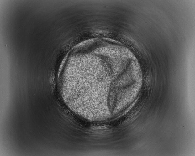 X0000092270749200710121340