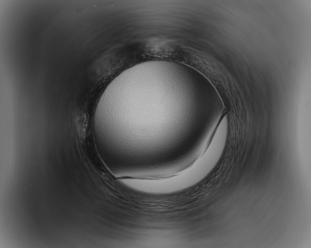 X0000092270752200710121340