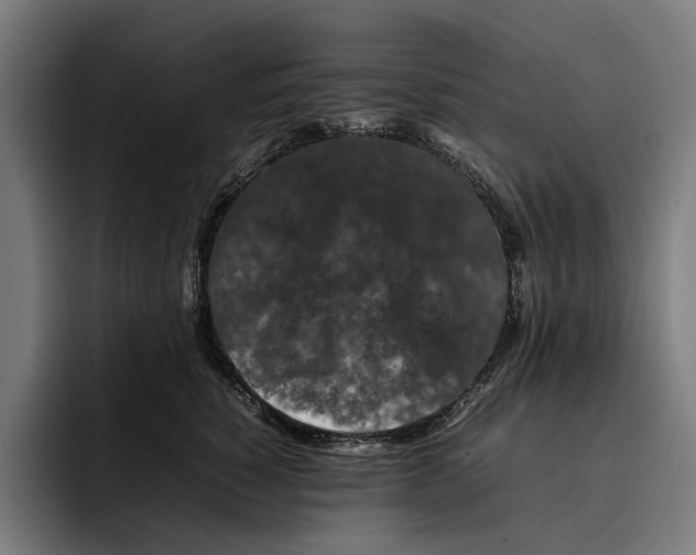 X0000092270760200710121340