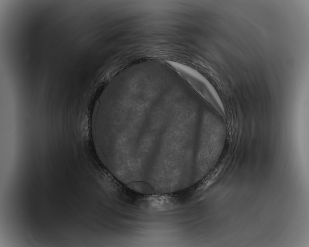 X0000092270762200710121340