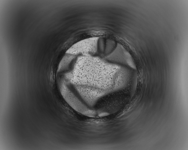 X0000092270763200710121340