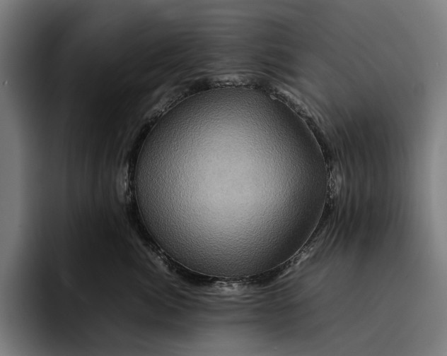 X0000092270764200710121340