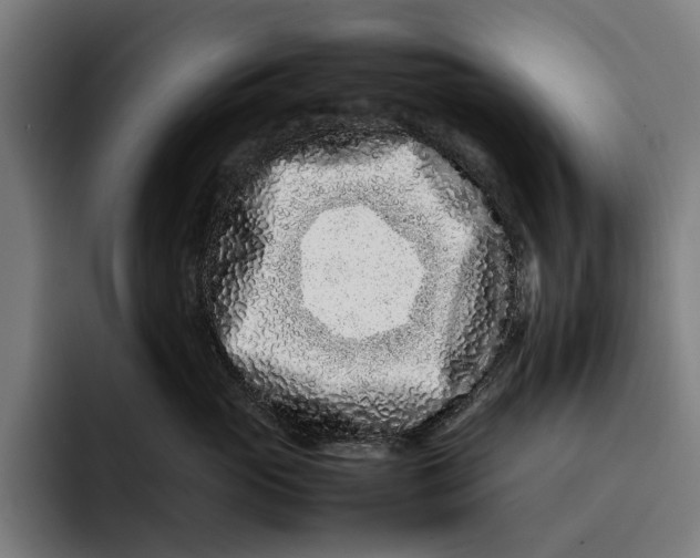 X0000092270765200710121340