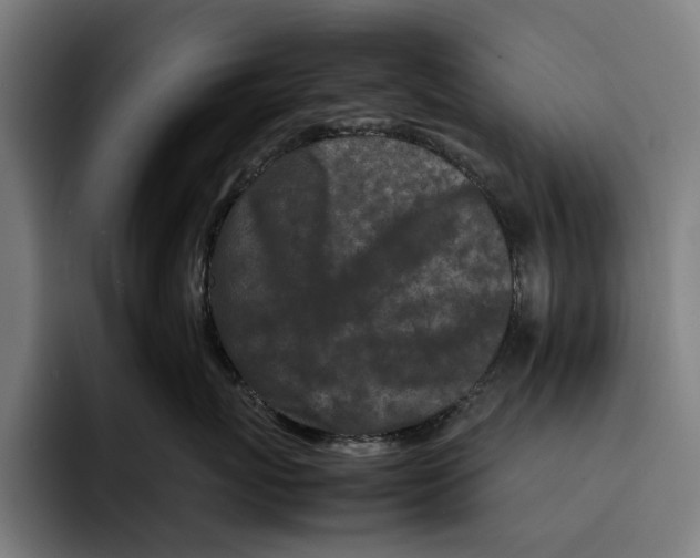 X0000092270767200710121340