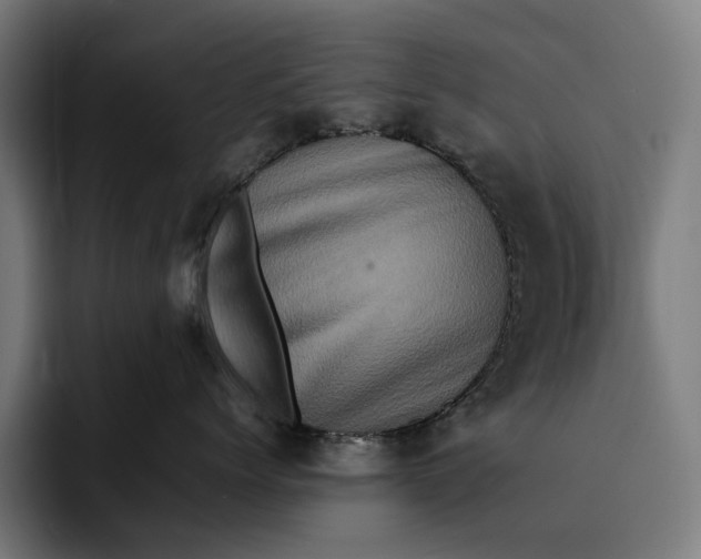 X0000092270768200710121340