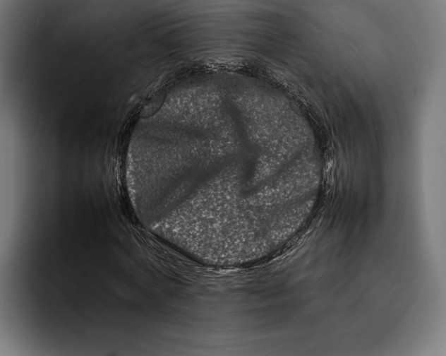 X0000092270772200710121339