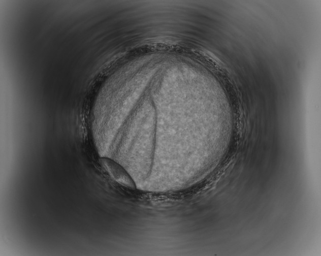 X0000092270774200710121339