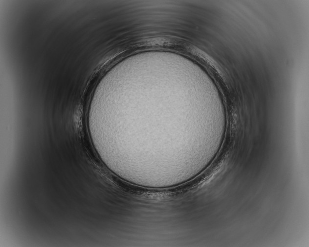 X0000092270778200710121339