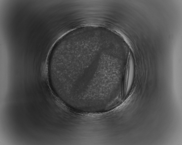 X0000092270779200710121339