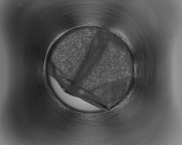 X0000092270780200710121339