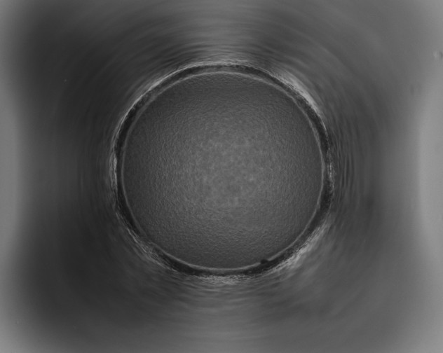 X0000092270781200710121339