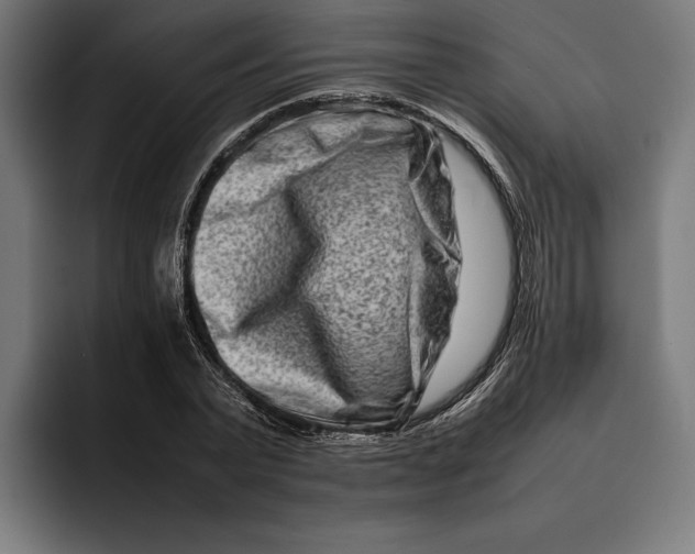 X0000092270783200710121339
