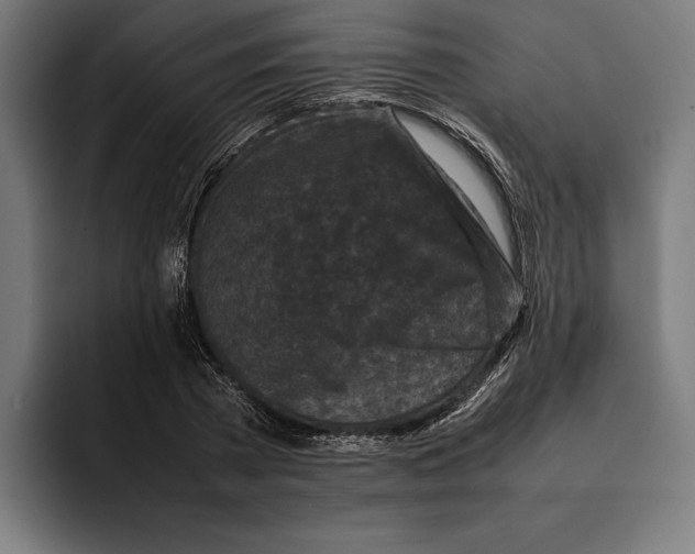 X0000092270785200710121339