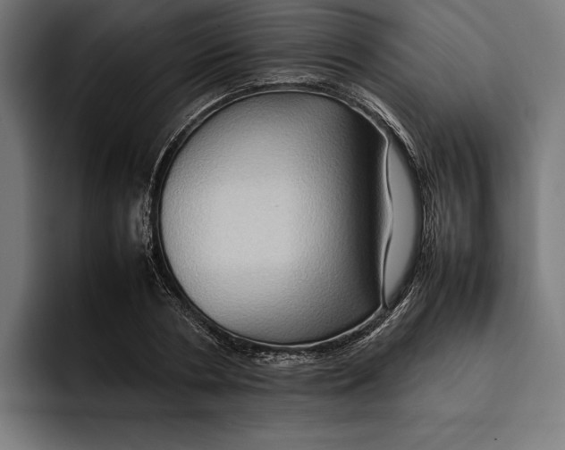 X0000092270786200710121339