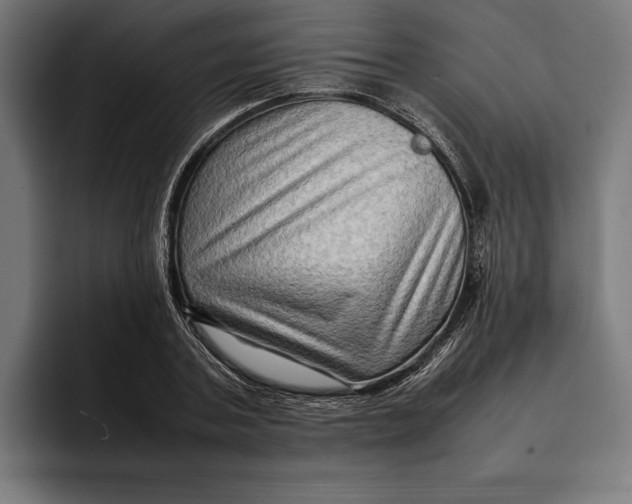 X0000092270787200710121339