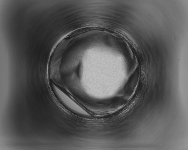 X0000092270788200710121339