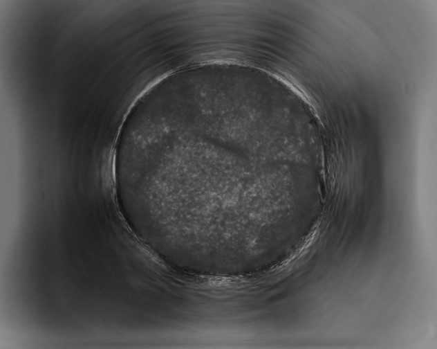 X0000092270790200710121339
