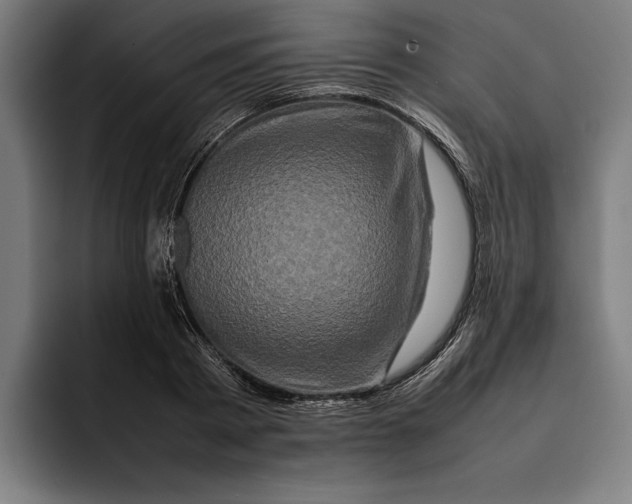X0000092270793200710121339