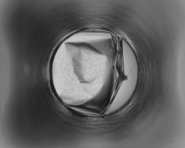 X0000092270795200710121339