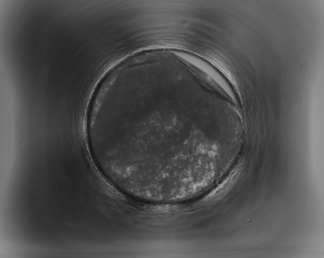 X0000092270797200710121339
