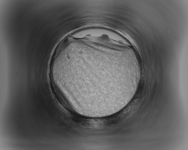 X0000092270799200710121339