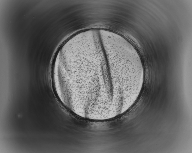 X0000092270800200710121339