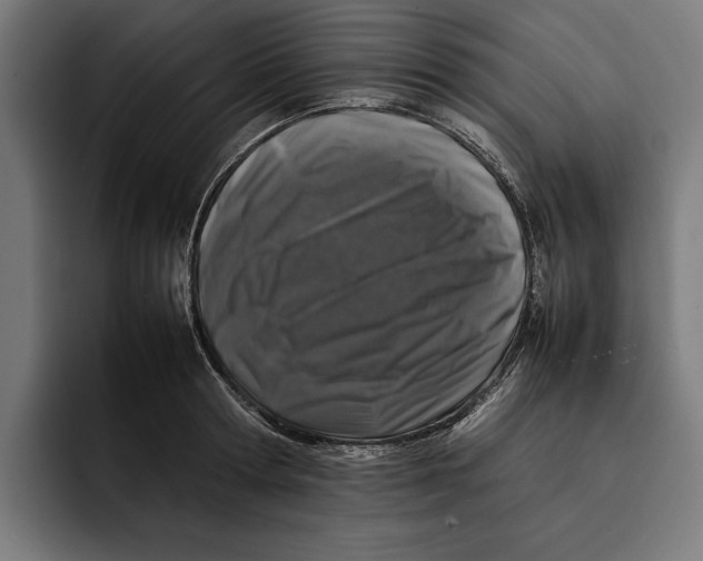 X0000092270802200710121339