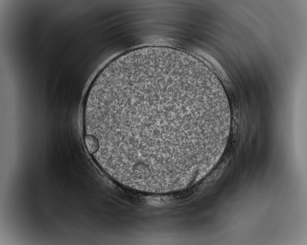 X0000092270804200710121339
