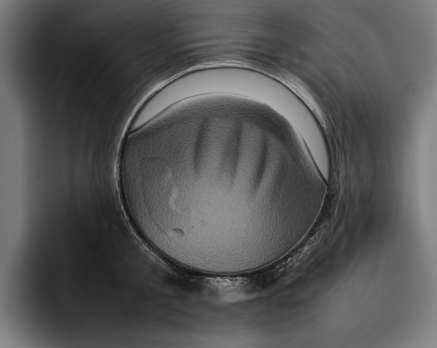 X0000092270805200710121339