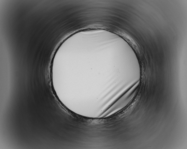 X0000092270808200710121339