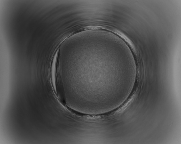 X0000092270809200710121339