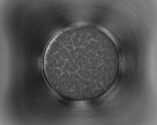 X0000092270810200710121339