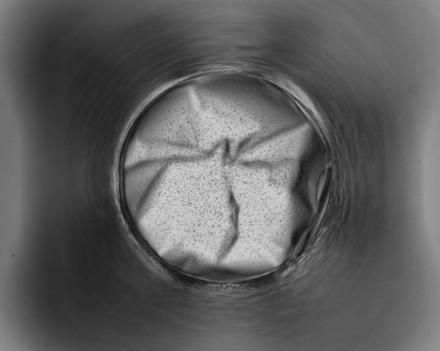 X0000092270811200710121339