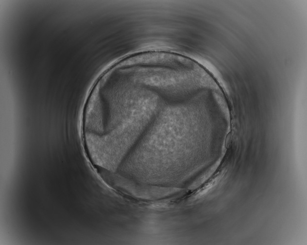 X0000092270815200710121339