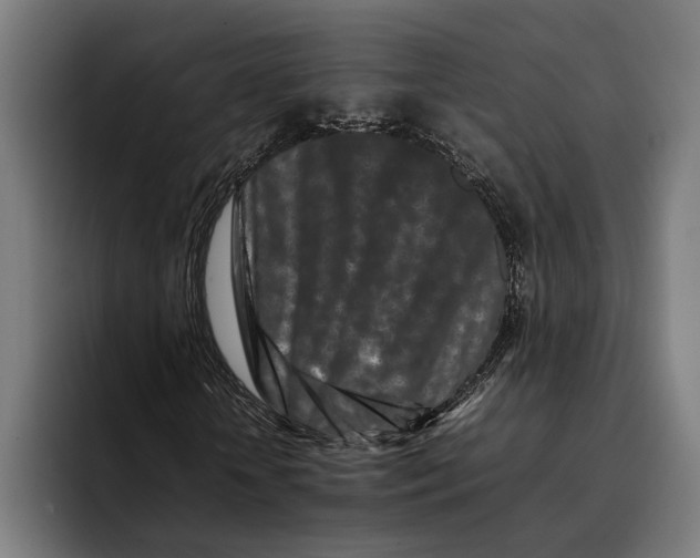 X0000092270818200710121338