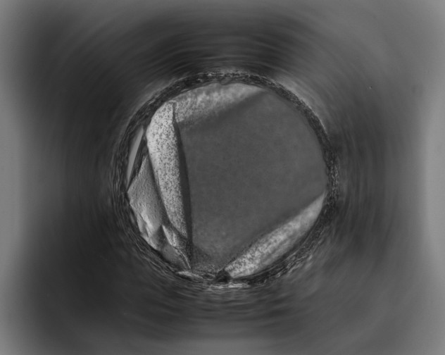 X0000092270823200710121338