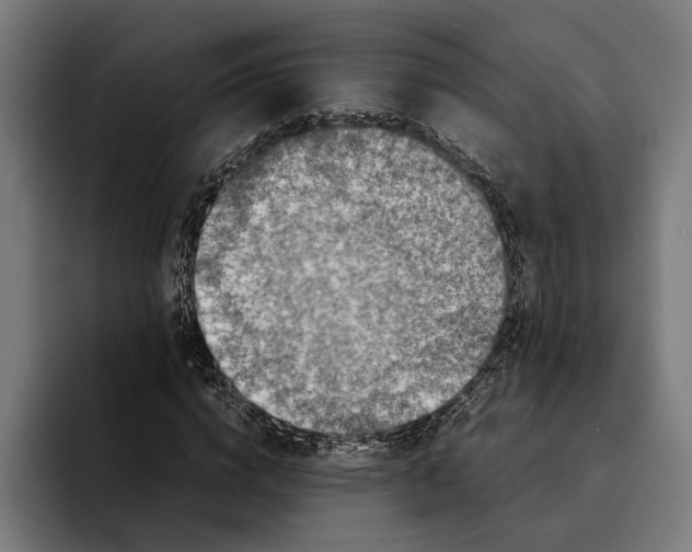 X0000092270824200710121338