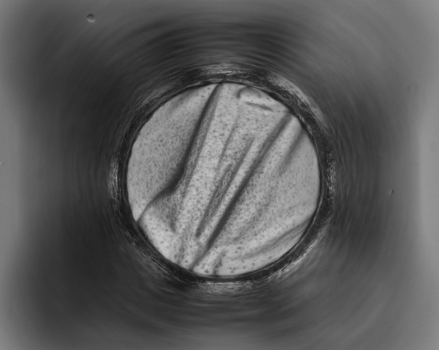 X0000092270825200710121339