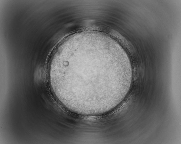 X0000092270828200710121339