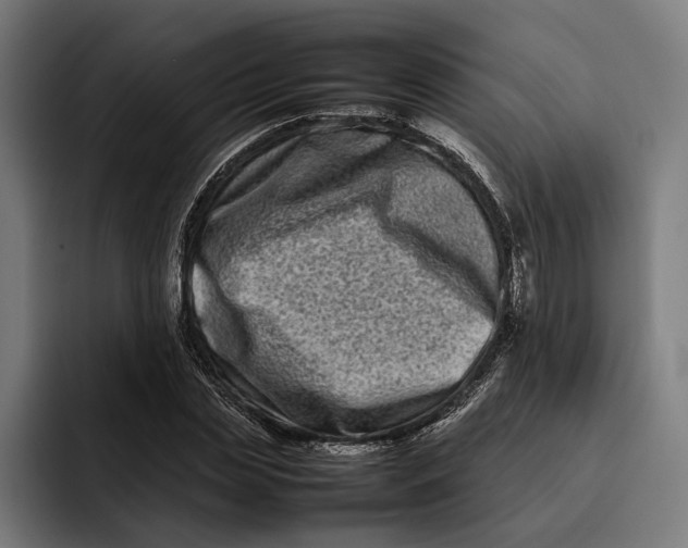 X0000092270829200710121339