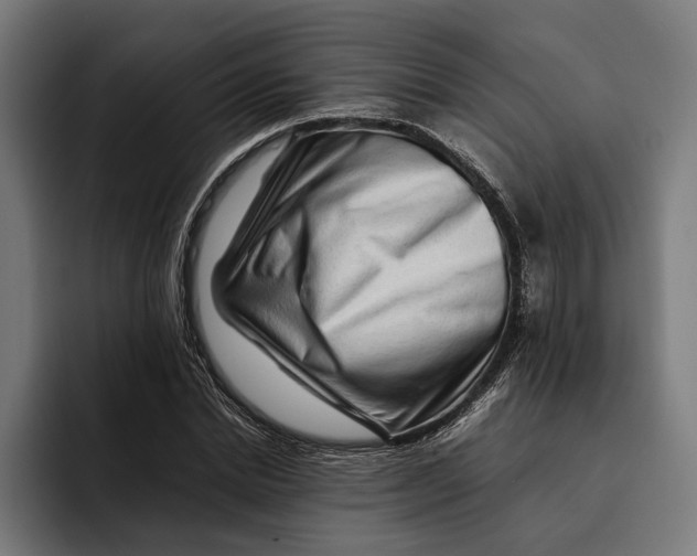 X0000092270830200710121339