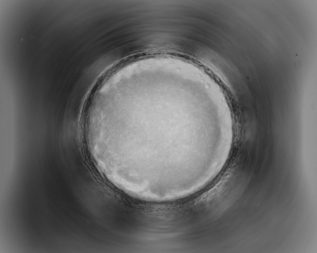 X0000092270832200710121339