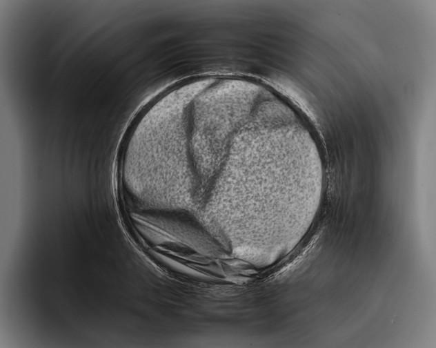 X0000092270839200710121339