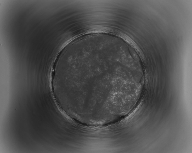 X0000092270842200710121339
